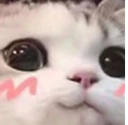 uwu